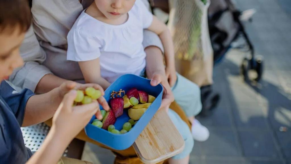 nutritionist-approved kids lunch ideas